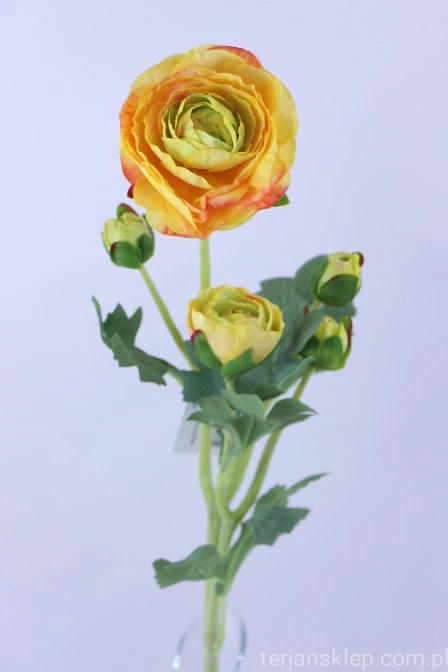 33684.JPG