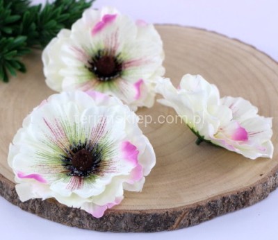 Anemon wyrobowy (24 szt) VIP2250 cream burgundy