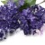 IMG_8844 kopia.jpg