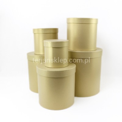 Flower box W5020A /6 beige gold