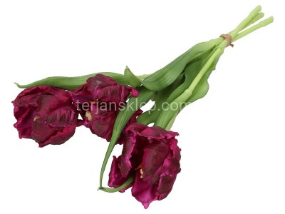 Tulipan papuzi gumowany wiązka CV38971 purple #10