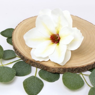 Magnolia wyrobowa (12 szt) WEI1007 white green #C22