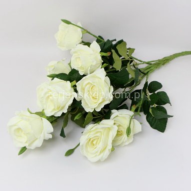 Bukiet róż gigant FRA77707 cream