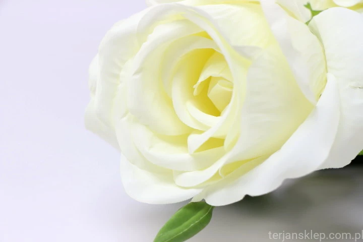 34058.JPG