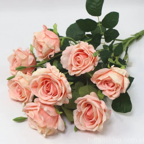 34070.JPG