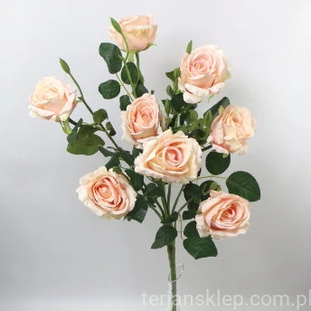 34064.JPG