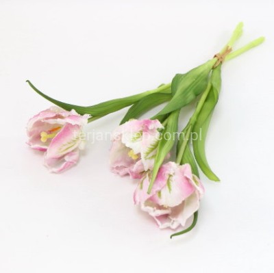 Tulipan papuzi gumowany wiązka CV38971 lt pink #6