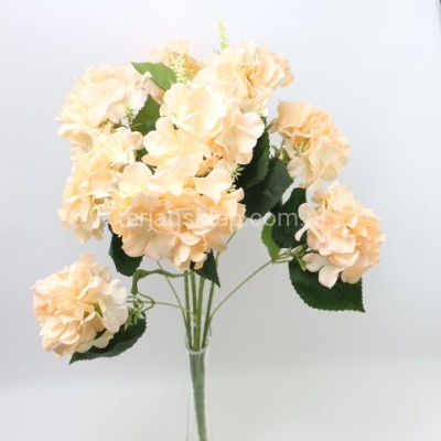 Bukiet hortensji FRA77735 peach