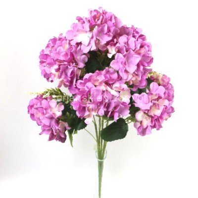 Bukiet hortensji FRA77735 lilac