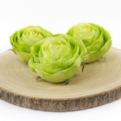 Camelia wyrobowa / pełnik SUN564 (12 szt) green #1584