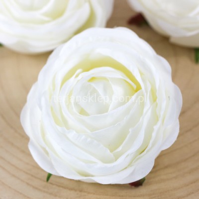 Camelia wyrobowa / pełnik SUN564 (12 szt) pearl white #2208