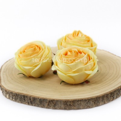 Camelia wyrobowa / pełnik SUN564 (12 szt) lt yellow #1581