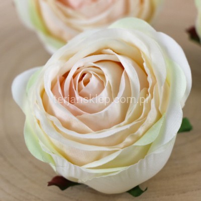 Camelia wyrobowa / pełnik SUN564 (12 szt) lt peach lt green #2780