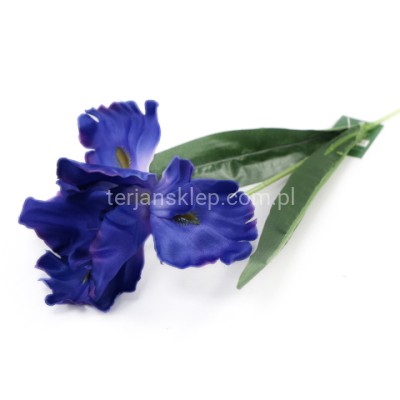 Irys gałązka CV38988 violet z akcentami #3
