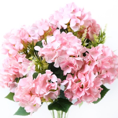 Bukiet hortensja FRA77717 pink
