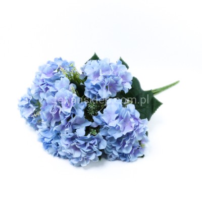 Bukiet hortensja FRA77717 blue lilac