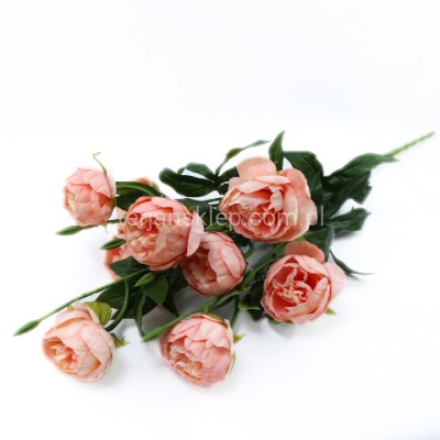 Bukiet piwonia FRA77739 salmon