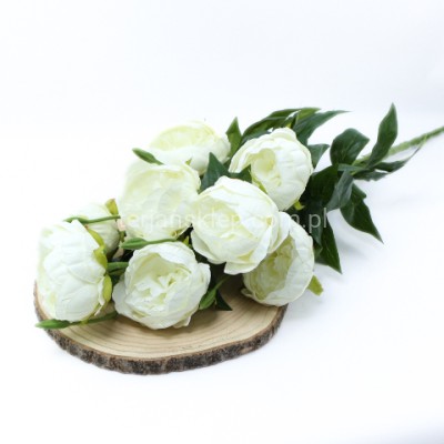 Bukiet piwonia FRA77739 cream