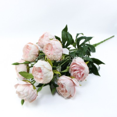 Bukiet piwonia FRA77739 lt pink