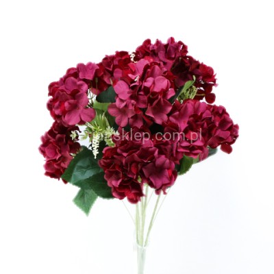 Bukiet hortensja FRA77717 cherry