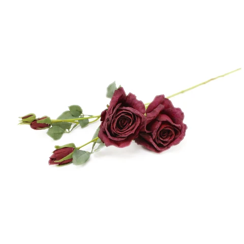 IMG_9597.JPG