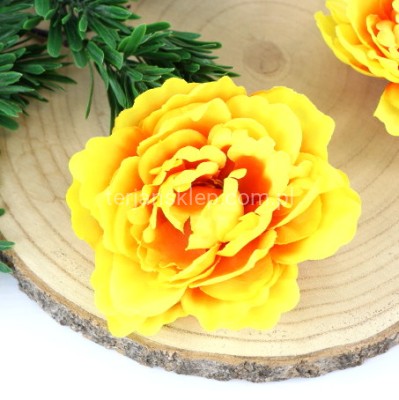 Peonia K089 (12 szt) tea (pomar.)