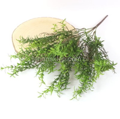 Bukiet rozmaryn CV38955 green #2