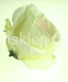 75f3af15497cba22fe32c73c5766ffaa7f056d87