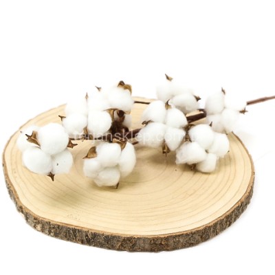 Bawełna gał. LSL99 030