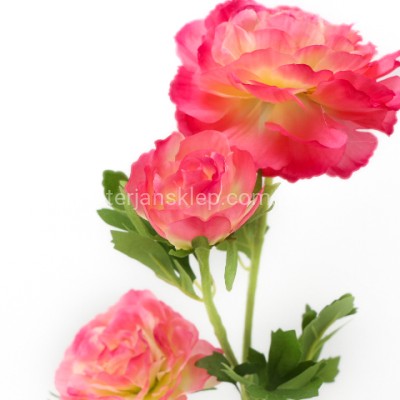 Pełnik gał. SUN852 magenta #2360