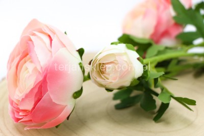 Pełnik gałązka SUN870 powder pink #3592Y