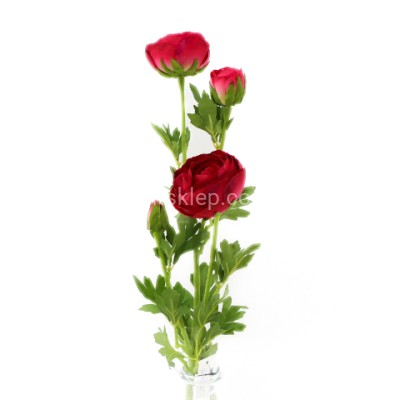 Pełnik gałązka SUN870 raspberry #3578Y