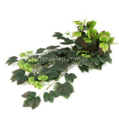 Bluszcz B013 AB leszczyna zieleń z bordowym akcentem