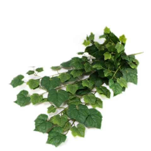IMG_9717.JPG