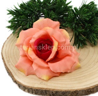 Róża wyrobowa F004 aut dk pink green