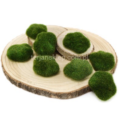 Kamienie omszałe / MECH (8 szt) CV38841