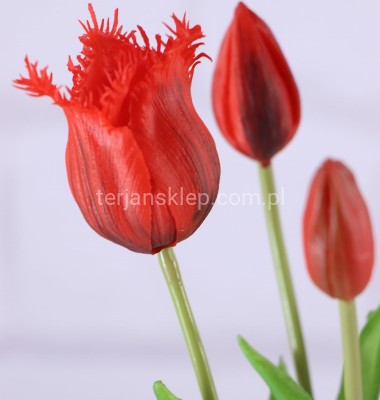 Tulipany PAPUZIE silikonowe wiązka CV18673 red #11