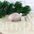 IMG_0168.JPG