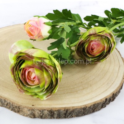 Pełnik gałązka SUN870 green #3581Y