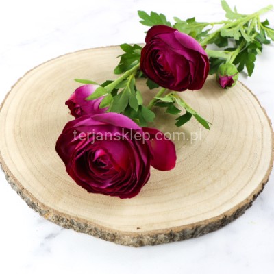 Pełnik gałązka SUN870 beauty #3580Y