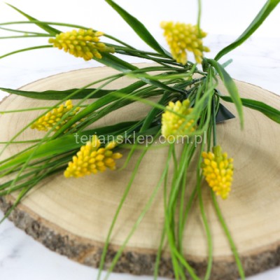 Bukiet szafirki w trawie CV38866 yellow