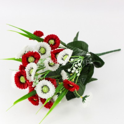 Bukiet stokrotki w trawie LY029 white red