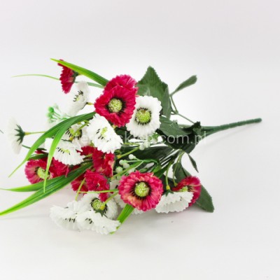 Bukiet stokrotki w trawie LY029 white beauty