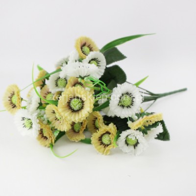 Bukiet stokrotki w trawie LY029 white lemon