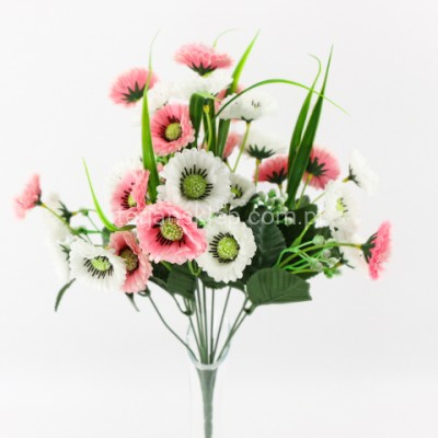 Bukiet stokrotki w trawie LY029 white pink