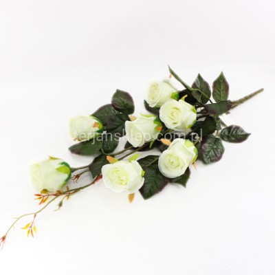 Bukiet róż TRS11120 cream