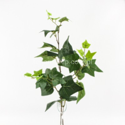 Gałązka bluszczowa B047 hedera (vyg)