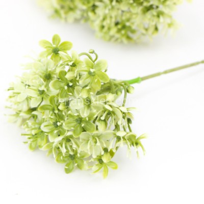 Czosnek na piku wiązka (6 szt) BUK1030 white green