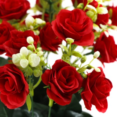 Bukiet róż ROS00026 red