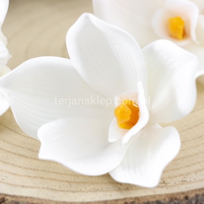 Storczyk wyrobowy Cymbidium (12 szt) LEV017 PIANKA white